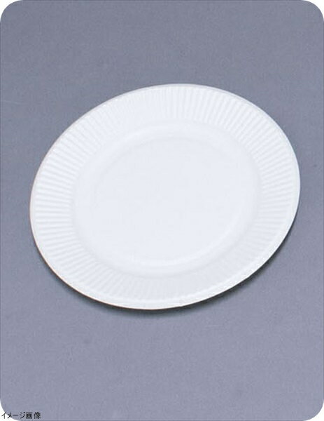 スタンダードプレート（100枚入） No.6 181921