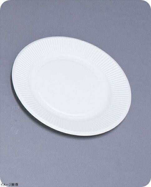 スタンダードプレート（100枚入） No.8 181923