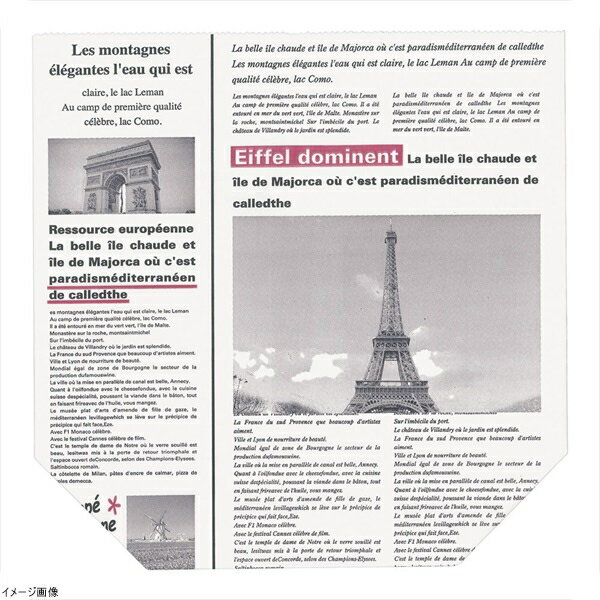 ヨーロピアン柄亀甲袋（100枚入） No．414 白