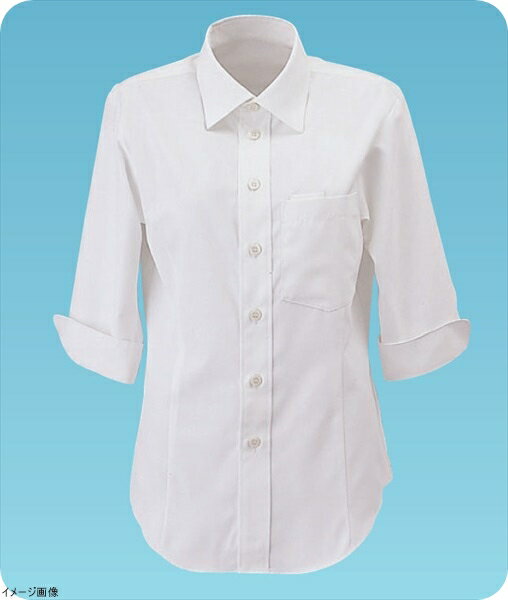 男女兼用ショップコートET－5731 L （白）