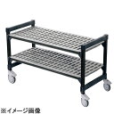 Trust(トラスト) TR460型移動式シェルビング2段 1380×H750 (DTL3606)(3)