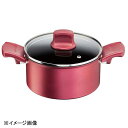 T-fal(ティファール) IHルージュアンリミテッドシチュー ポット 20cm G26244