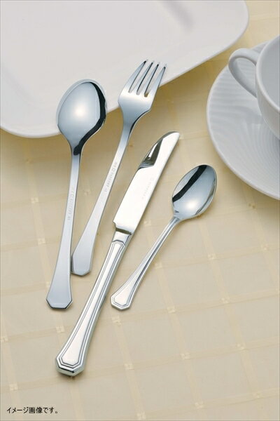 TKG 18-8 ハーモニーサービススプーン OHC03034