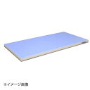 抗菌ポリエチレン全面カラーかるがるまな板 600×300×H23mm 青(3)