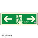 避難口誘導標識ステッカー(中輝度蓄光式) TSN803