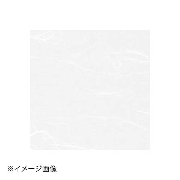 ƥå ֹ» ή߻(250) (6) WK-6N