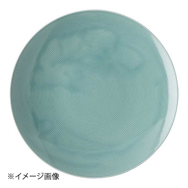 ローゼンタール トーマスロフトカラー グルメプレート28 401918-10229 IB アイスブルー