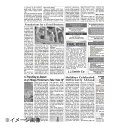 アーテック株式会社 ラミニュースペーパー(300枚入) RP-NB4E