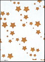 SKバッグ 星(100枚入) No.6