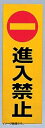 光 進入禁止 00873324-1 RE1300-2