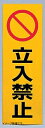 光 立入禁止 00873325-1 RE1300-3