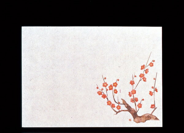 ヤマコー 遠赤保鮮紙 小 (100枚入) 梅