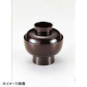 若泉漆器 古代椀 溜 W-5-28