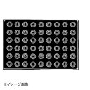 PX011 バベルミニオン 54ヶ取(3)