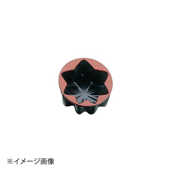PC錦玉 楓小