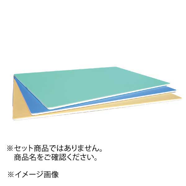 Sheet Pans - カラー取り板 TCSK8-6040 B（ブルー）