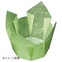 ヤマコー 用美 両面OP珍味入 若草雲竜 大 (100枚入) 66403