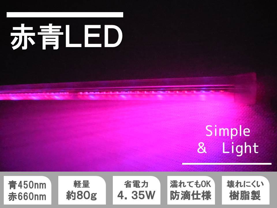 【スイッチ付新発売】工学博士の植物栽培用赤青LED 長さ16cm「スイッチ付おひさまのLED」リビングでレタス・イチゴ・きゅうりなどを栽培。樹脂製なので軽く、両面テープや結束バンドで色々な所に固定できます。植物育成用・観葉植物用・水槽用LED。ACアダプター付