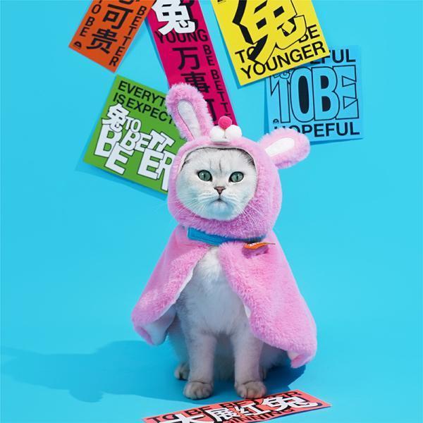 送料無料 可愛い 小中型犬服 マント 両用フリースブランケット 秋冬洋服 お出かけ 犬猫 着る毛布 ペッ..