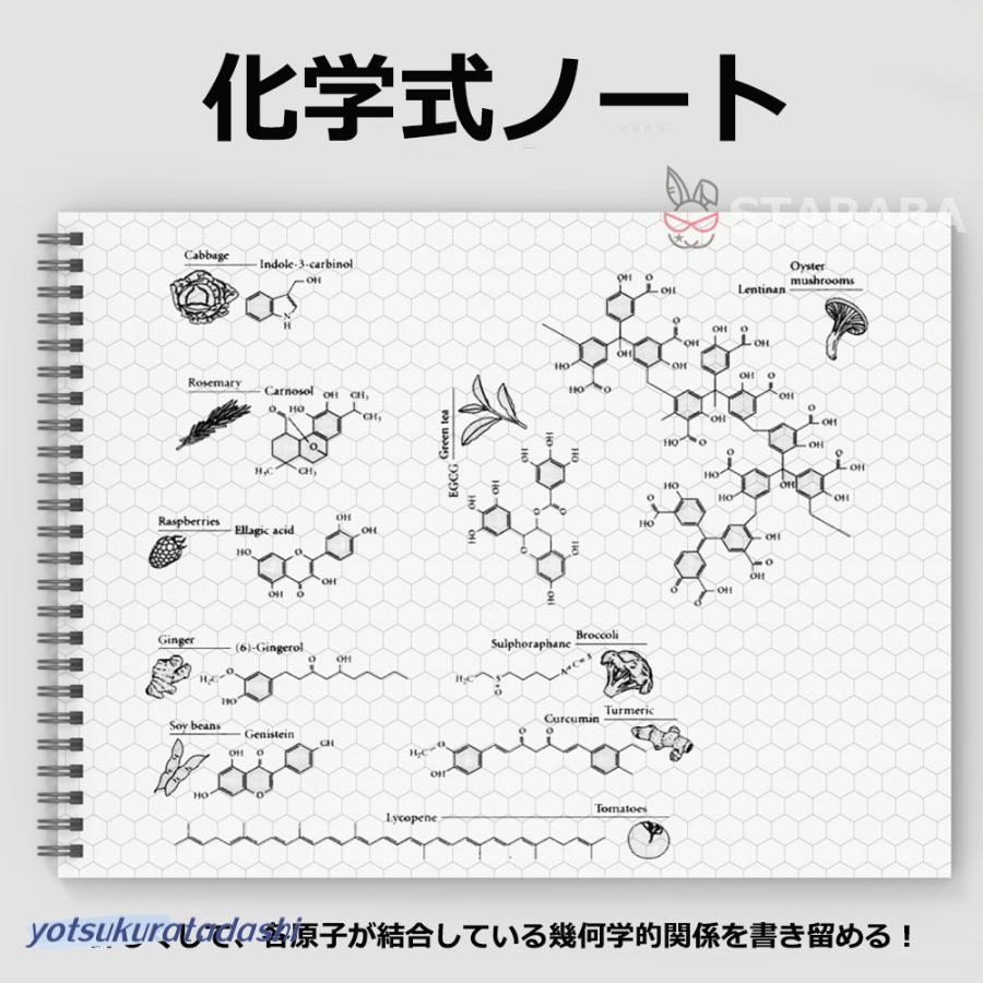 爆買 化学式ノート 構造式ノート 図式ノート 化学 分子構造ノート A4 50枚入り
