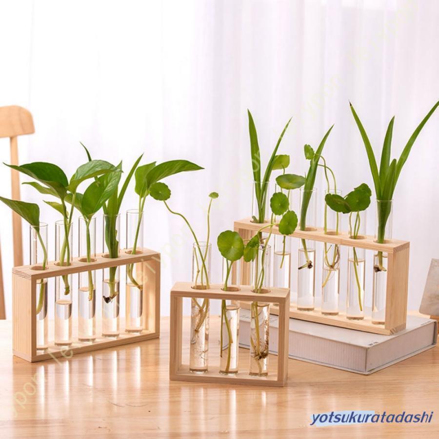 Crystal Products - 爆買 花瓶 透明 ガラス 木製 試験管 クリア 水耕栽培 花器 卓上花瓶 木製枠 透明 試験管 インテリア 飾り 工芸品 輪っか 丸型 試験管 フラワーベース Flower