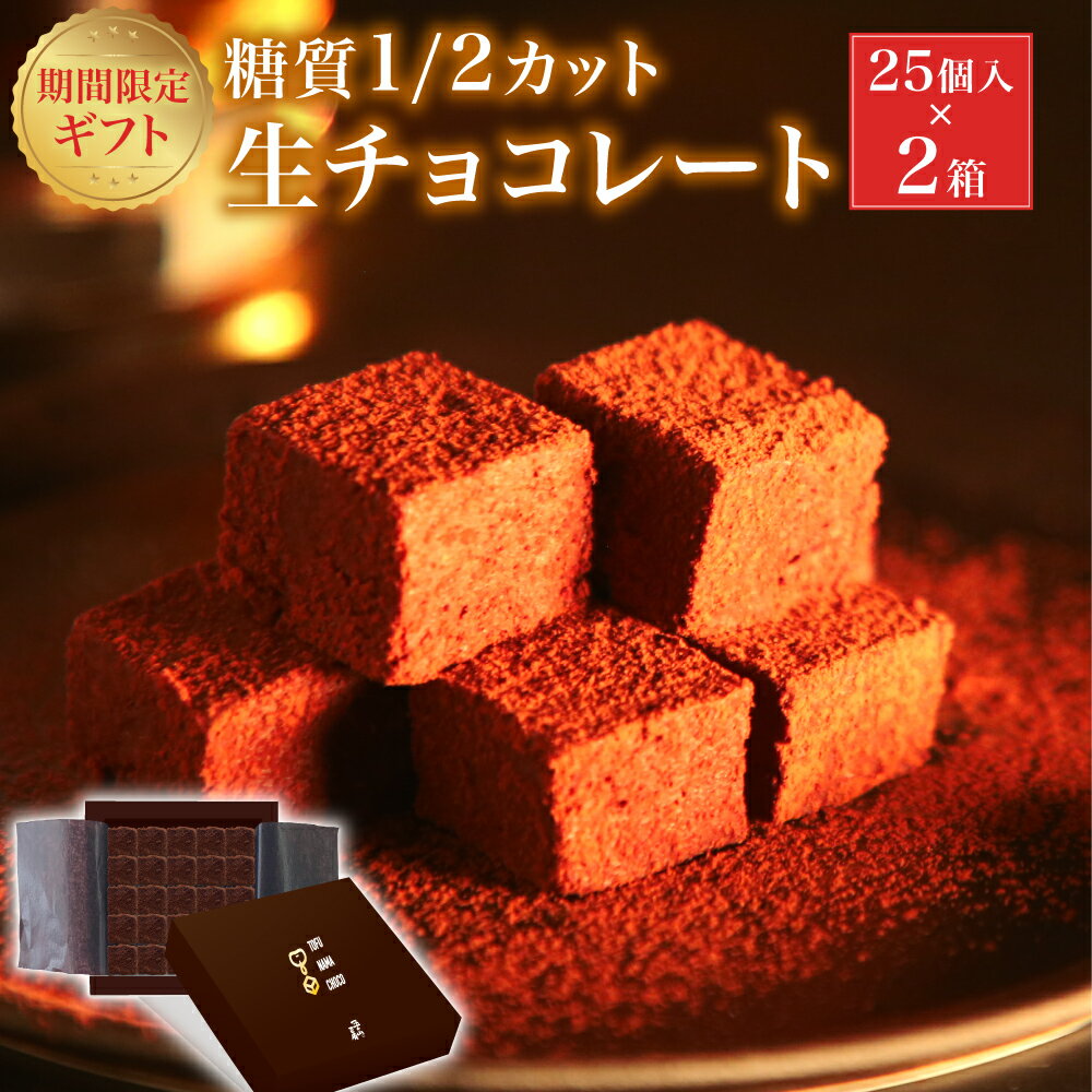 豆腐生チョコレート 2箱セット 25個入り(60g)×2箱 (3196) 糖質1/2カット バレンタイン 2023 チョコ 生チョコ 義理チョコ プチギフト ギフト 贈り物 冷凍 五ケ山豆腐 豆腐 豆乳クリーム ヘルシースイーツ スイーツ 健康