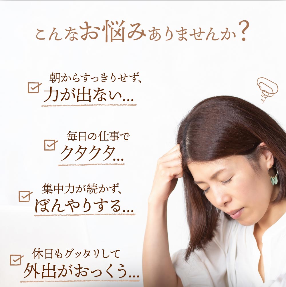 フルーツ黒にんにく 4袋セット (3192) 黒にんにく 合計300g 1袋(75g) 熊本県産にん...