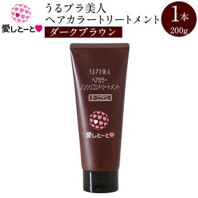 うるプラ美人ヘアカラートリートメント（ダークブラウン） (314302) 1本 200g 白髪染め 美容液成分 96% ノンシリコン 保存料不使用 ヘアケア ダメージ補修 保湿成分 毛染め あいしとーと