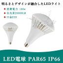 【最安挑戰中 P5+15%OFFクーポン配布