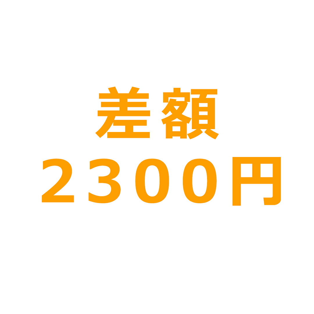 Rakuten - 差額 2300円