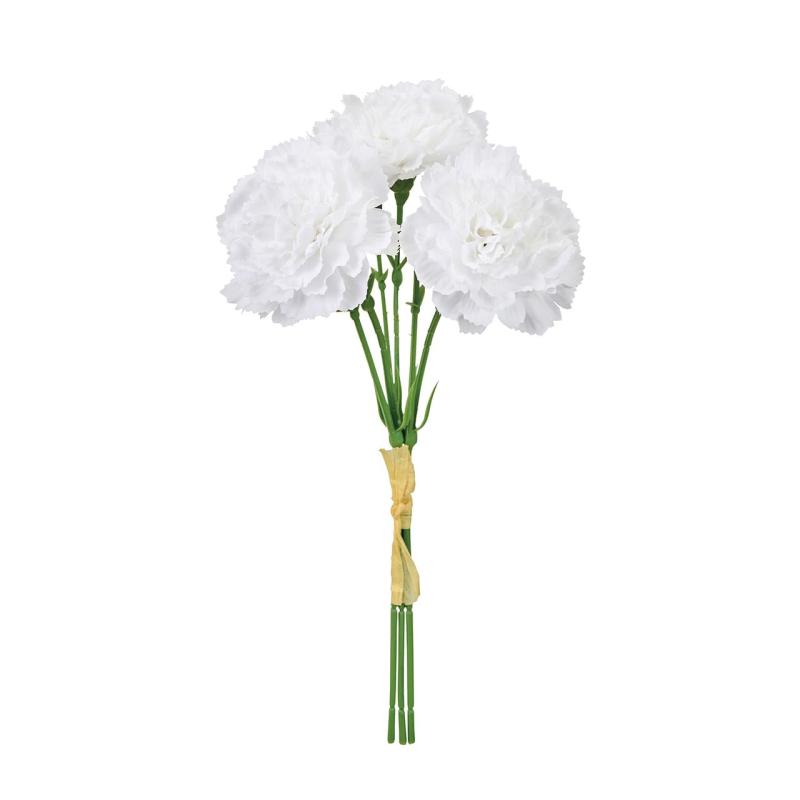 ���Ʋ(Tokyodo) ¤�� �륤�����͡������ԥå� #001�ۥ磻�� �ַ�6.5��L25cm 1« (3��) FM002568-001