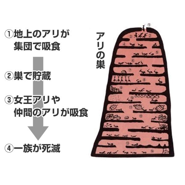HRテクノロジーズ楽天市場店の【送料無料】アリ専用 殺虫剤 アリメツ 55g 2個セット (専用皿2個×2付き)｜アングル3
