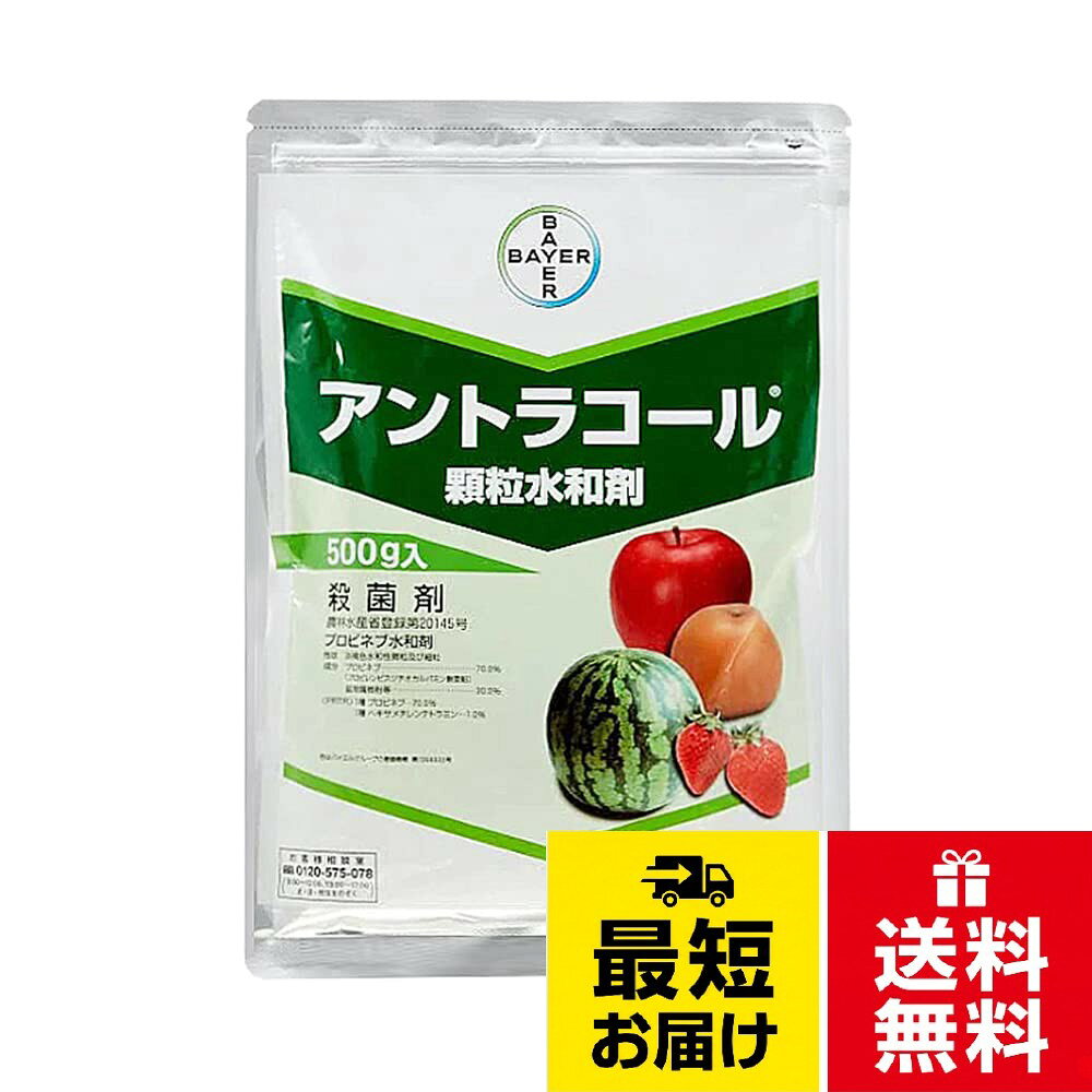 【送料無料】バイエルクロップサイエンス 殺菌剤 アントラコール顆粒水和剤 500g