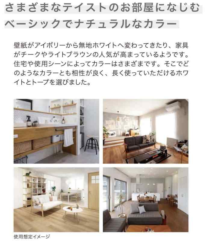 岩崎工業 ラストロウェア ゴミ箱 日本製 カラードコレクター スリム M ホワイト L-...