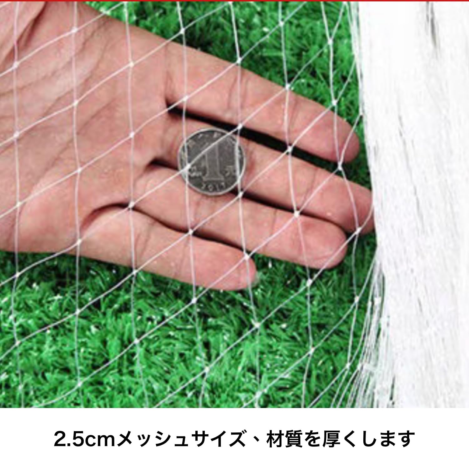 HRテクノロジーズ楽天市場店の【送料無料】防鳥ネット ベランダ鳥よけネット｜アングル2