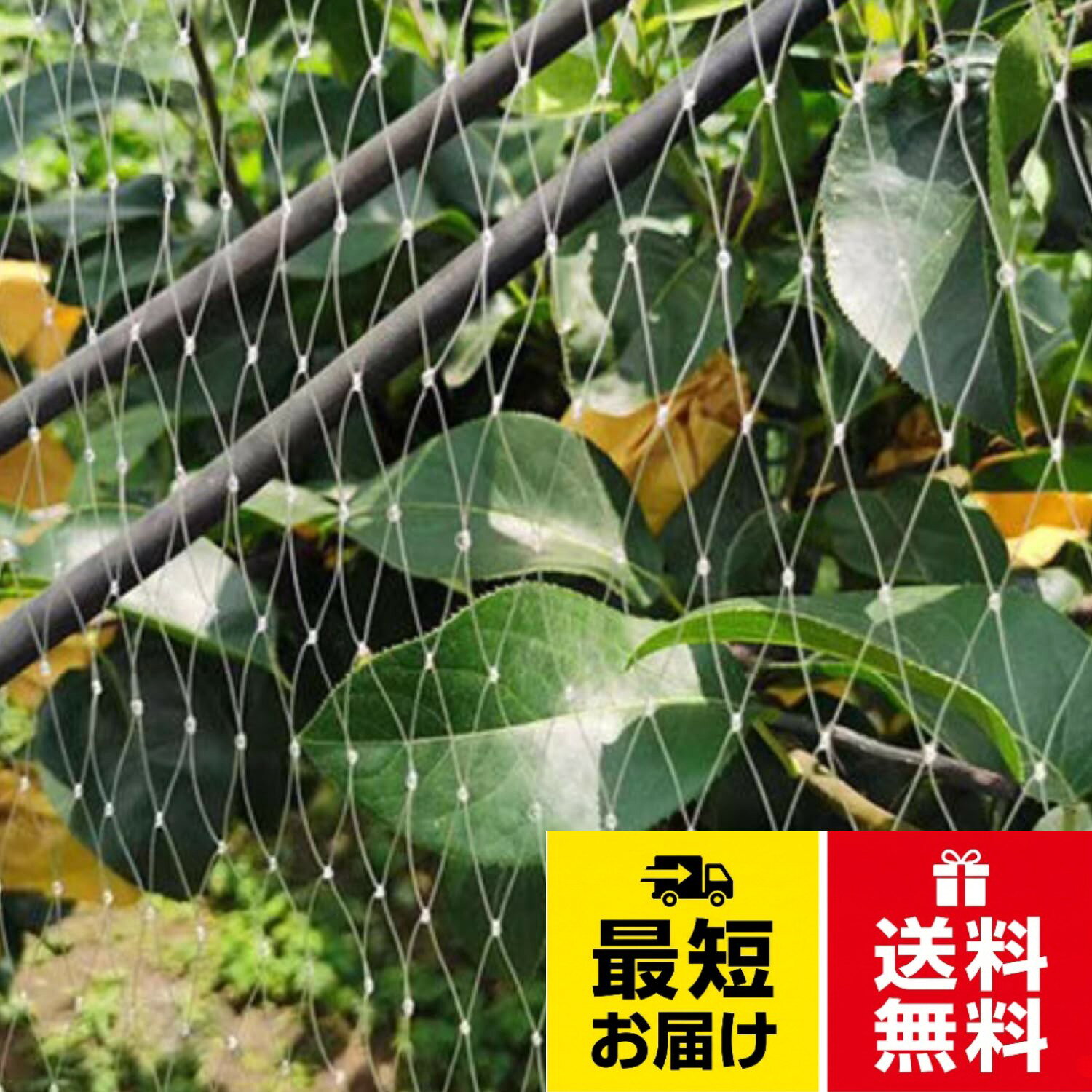 【送料無料】防鳥ネット ベランダ鳥よけネット