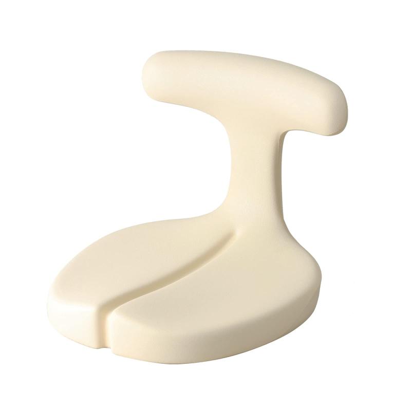 アーユルチェアー メディカルシート(座イス＆座面シートタイプ) 腰痛対策 姿勢矯正 集中力 学習 疲れない 椎間板ヘルニア 脊柱管狭窄症 坐骨神経痛 前傾姿勢 体幹 ダイエット 省スペース家