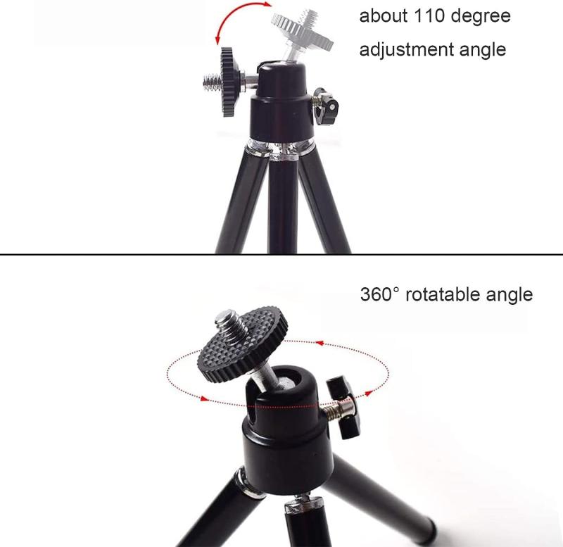 FUDONI �ߥ˻��� �ץ������������� �ץ������������������ ���Ӽ� �ޤꤿ���߼�