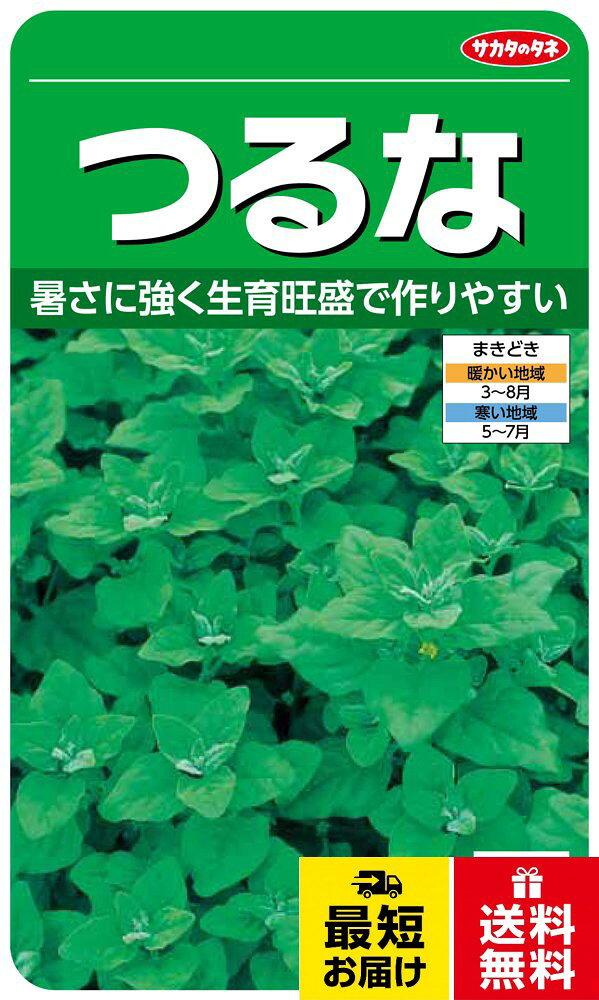 切替月:6月。詰量:25ml。発芽率:70%。採苗本数:60。春秋扱い:春秋兼用種。まきどき:春・秋サカタのタネ 実咲野菜3079 つるな 00923079 / つるな / 25ml