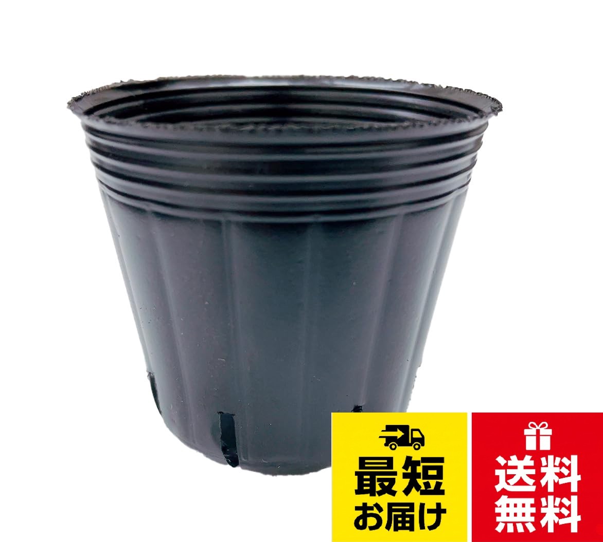 直径6cmx高さ5.7cmスリット8入りポリポット 6cm 100個 黒 底穴無しタイプ