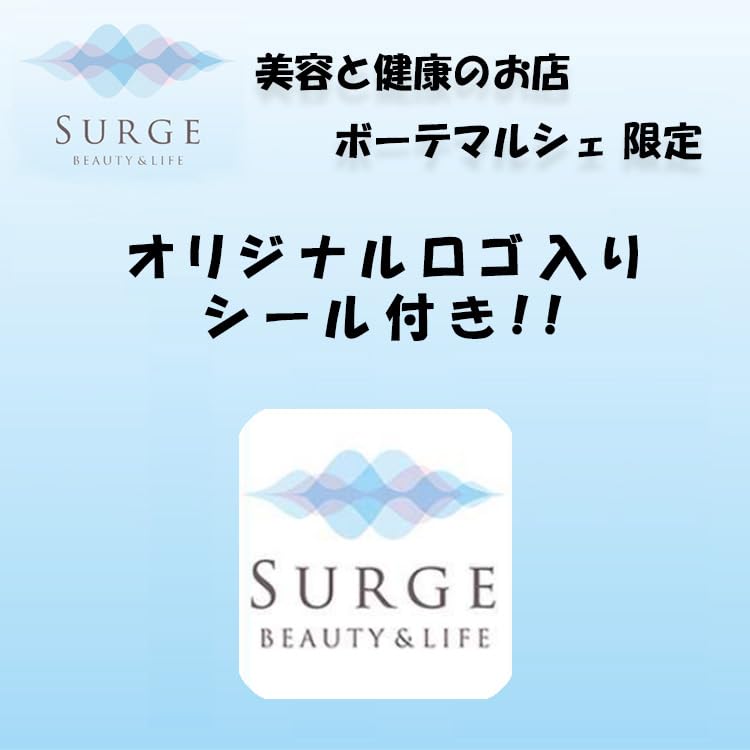 HRテクノロジーズ楽天市場店の【送料無料】【3個セット】シード ほるナビ 消しゴムはんこ はがきサイズ ＋ オリジナルロゴ入りシールつき｜アングル2