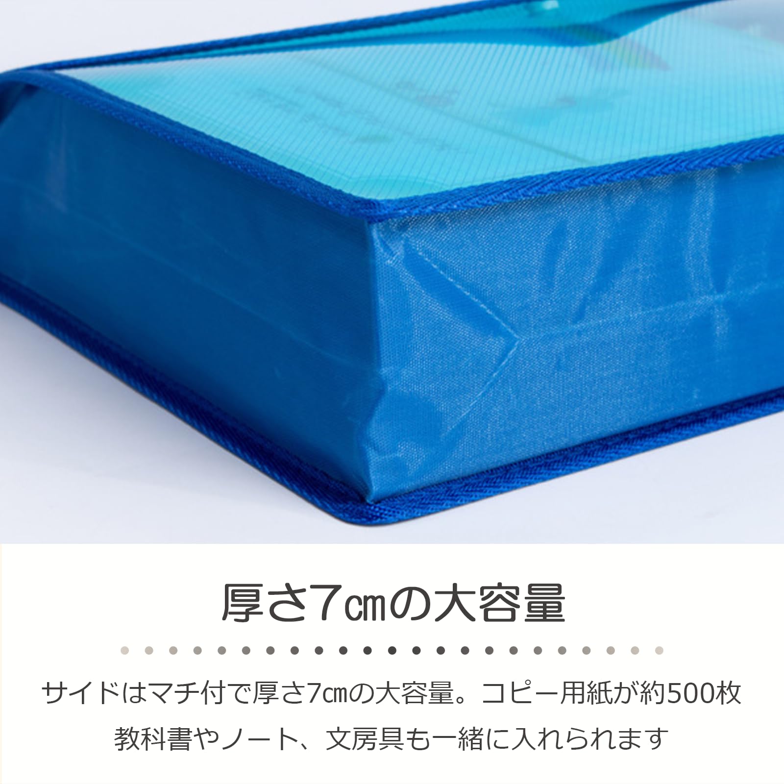 HRテクノロジーズ楽天市場店の【送料無料】lifactlab. ファイルケース A4 書類 整理 収納 プラスチック クリア ケース ボタン付き 透明 カラー 厚型 ファイル 縦型 5色セット｜アングル3