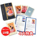 【ポイント10倍】～5/28 7:59タロットカード☆ステラ・タロットセット☆STELLA TAROT SET