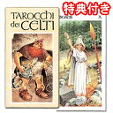 タロットカード 22枚 占い【タロッキ・ケルティ <アントニオ・ルパテリ>(大アルカナのみ)】〜ケルト神話を描いたタロットカード〜