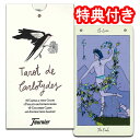 【SALE】タロットカード 78枚 マルセイユ版 占い【個性が光るエレガントなタロット】タロット・デ・カルロタイド