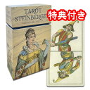 【19世紀の傑作を複製したタロット】TAROT STEINBERGER