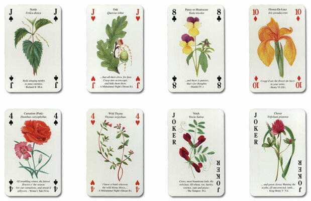 �ڥ����������ԥ���̤ä��֤����ۥ����������ԥ����ե�