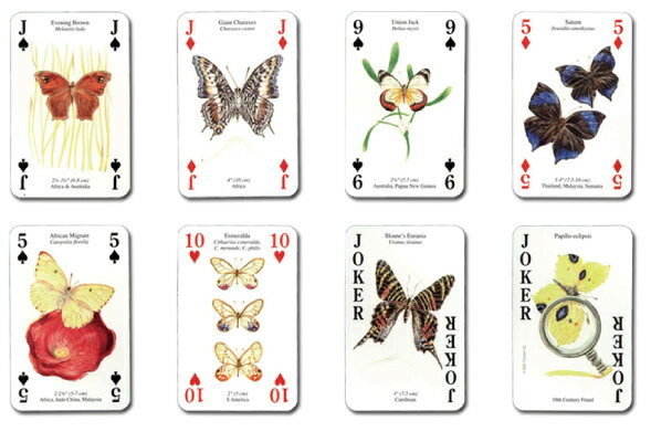 �ڿ͡���̥λ���Ƥ���������ĳ�ۥХ��ե饤�����֡���������