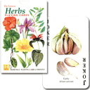 植物トランプ【トランプ ハーブ】”あなたにぴったりのハーブを探しませんか?”