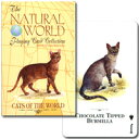 【54種の猫たちが大集合!!】トランプ ナチュラル・ワールド 世界の猫
